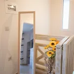Sol *