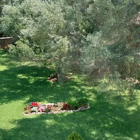 Villa Sol *