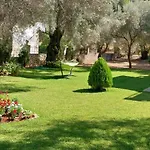 فيلة Sol Frínion